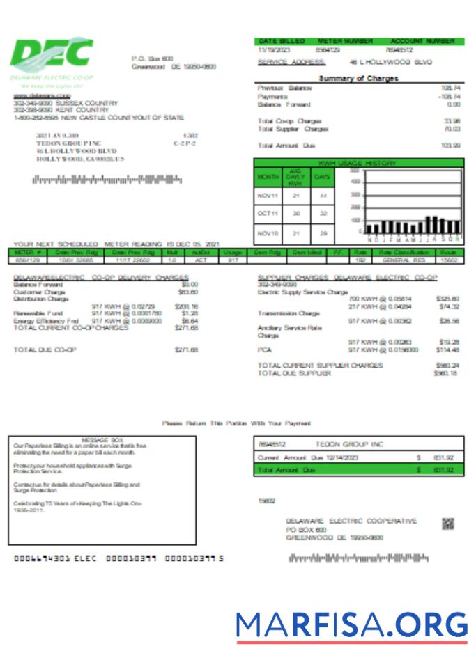 Blank Delaware Electric Co op utility business bill, SCR download for verification